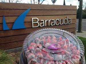 Barracuda 17Sushi Confidential Catering Winchster 9